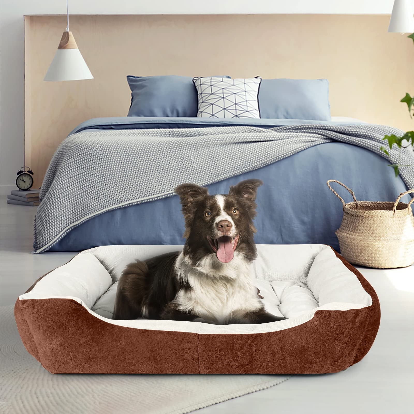 PayUSD Dog Beds for Small Dogs with Dog Blanket & Plush Bone Washable Calming Cat Bed Pet Bed