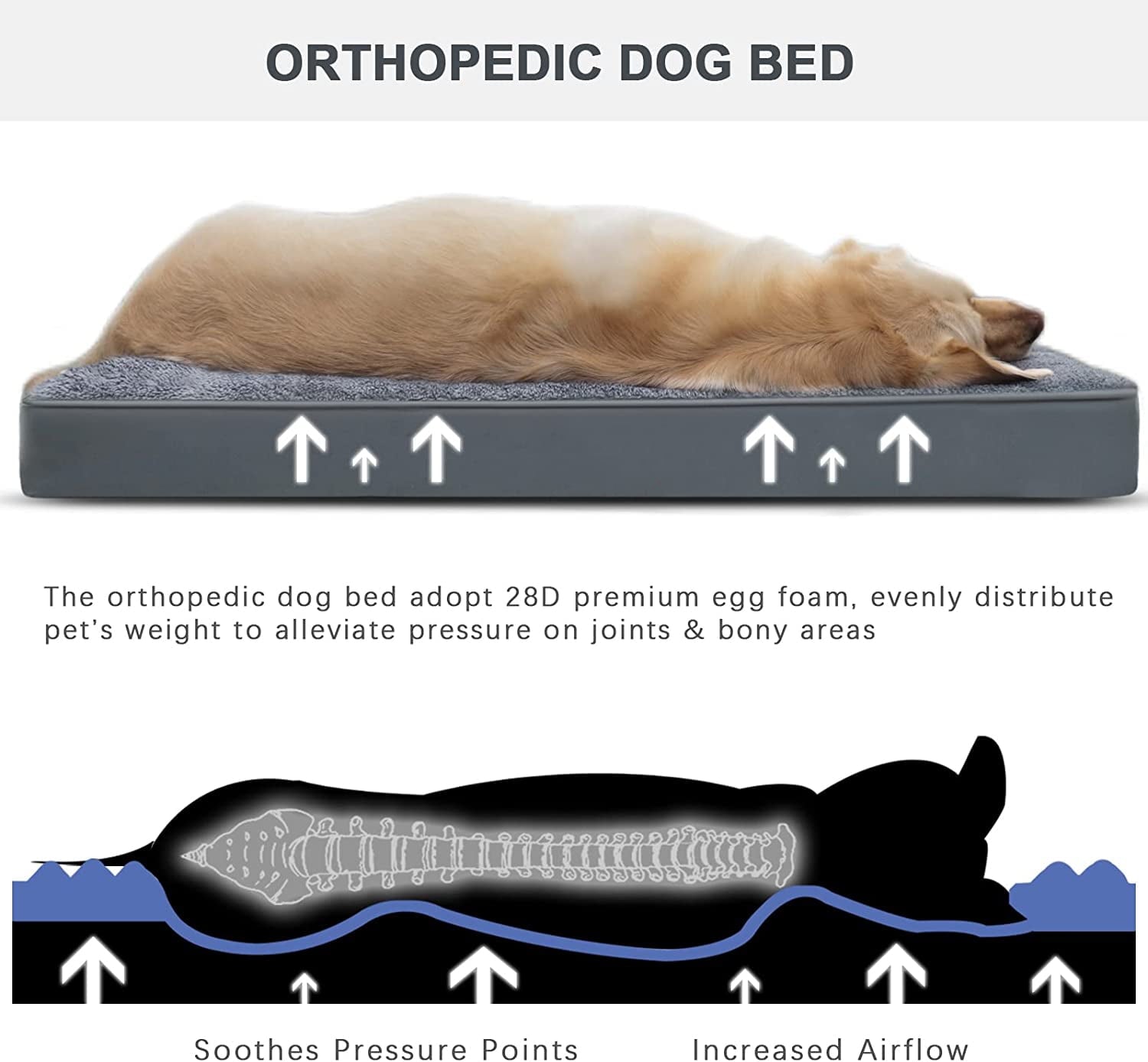 Large Dog Bed with Orthopedic Memory Foam Mattress Edition Pet Bed for Dogs & Cats, Jumbo, 40"x30", Up to 90lbs, Waterproof Liner & Washable Cover