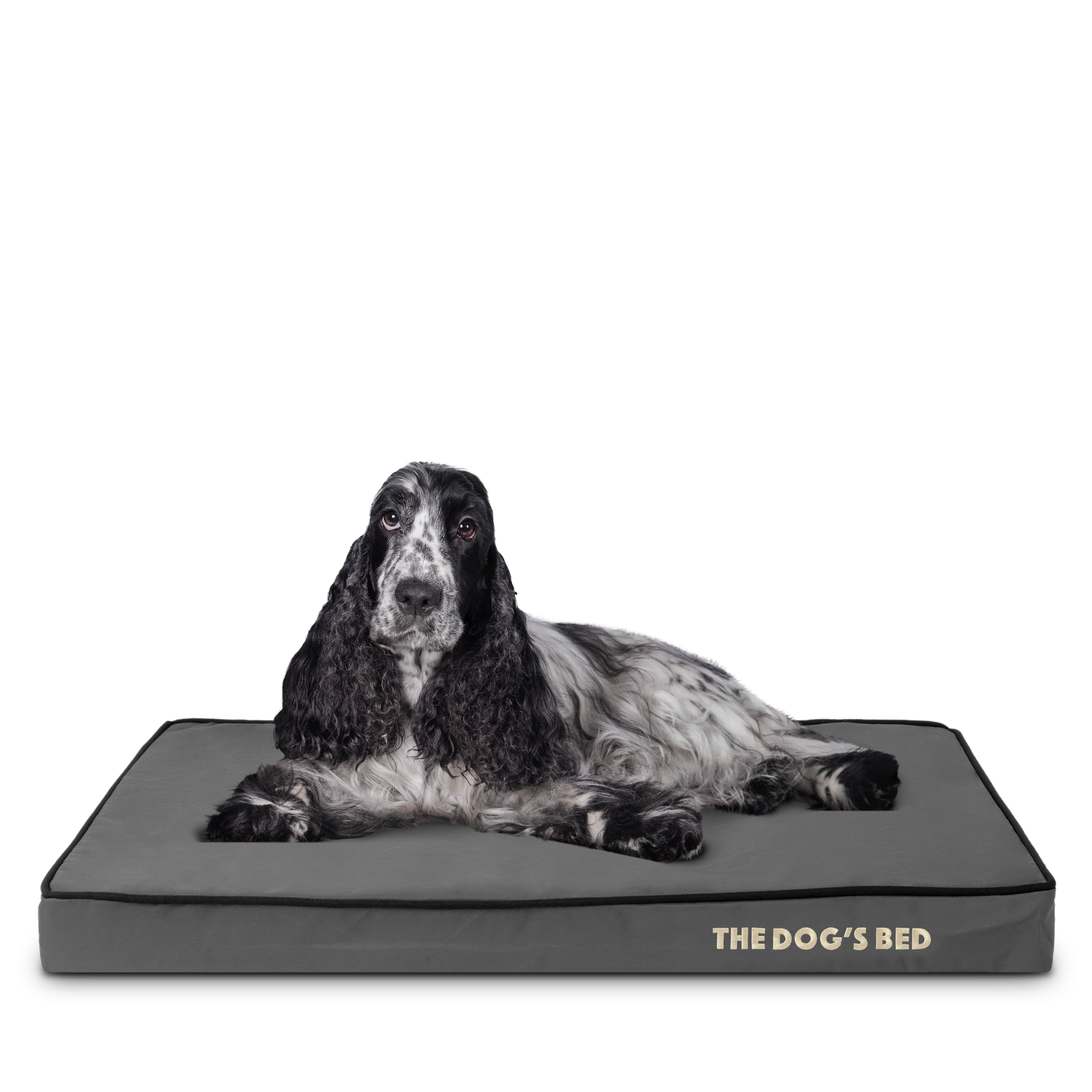 The Dog’s Bed Orthopedic Memory Foam Dog Bed, Medium Grey/Black 34x22, Pain Relief for Arthritis, Hip & Elbow Dysplasia, Post Surgery, Lameness, Supportive, Calming, Waterproof Washable Cover