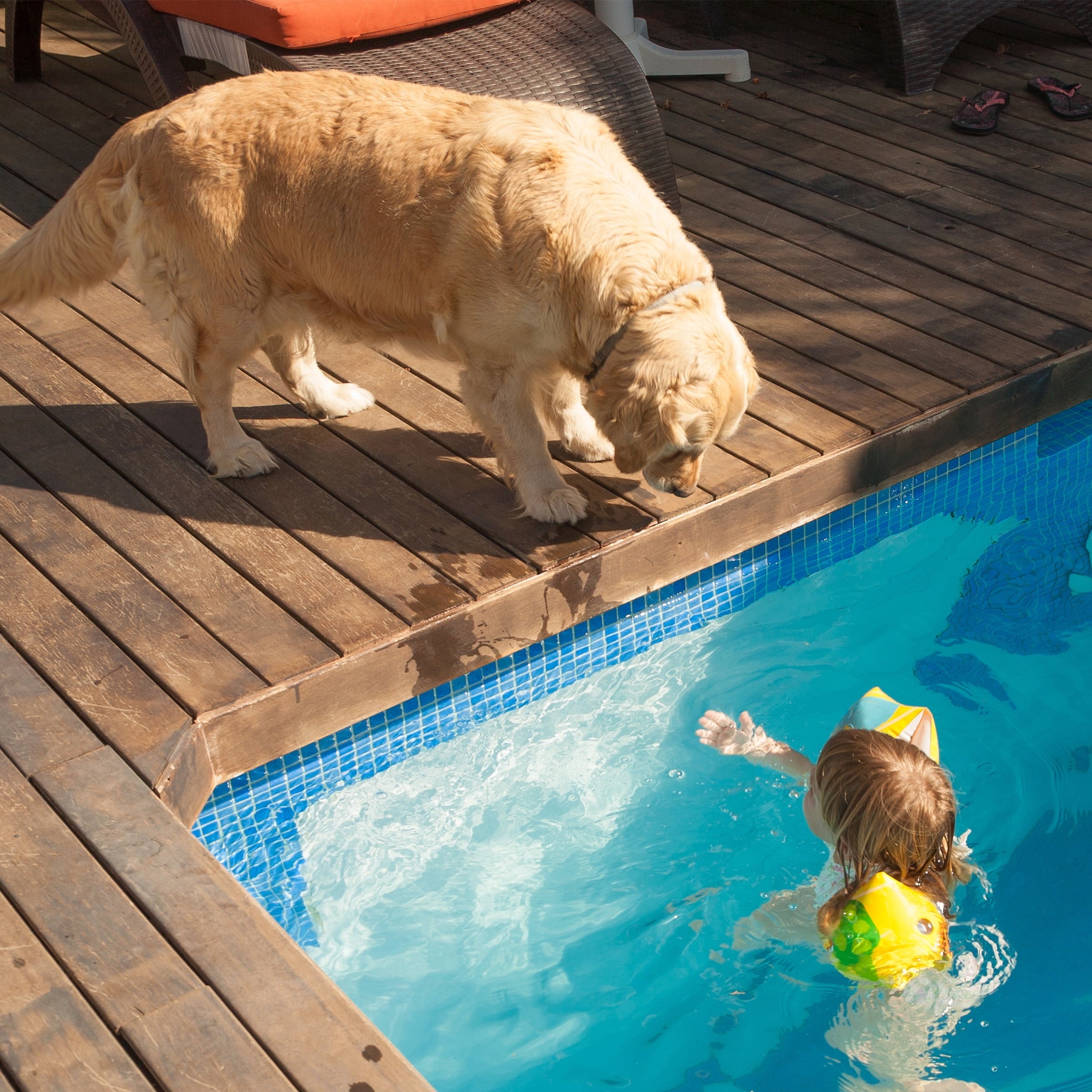 PETMAKER 36in Water-Resistant Dog Bed with Removable Washable Cover (Brown)