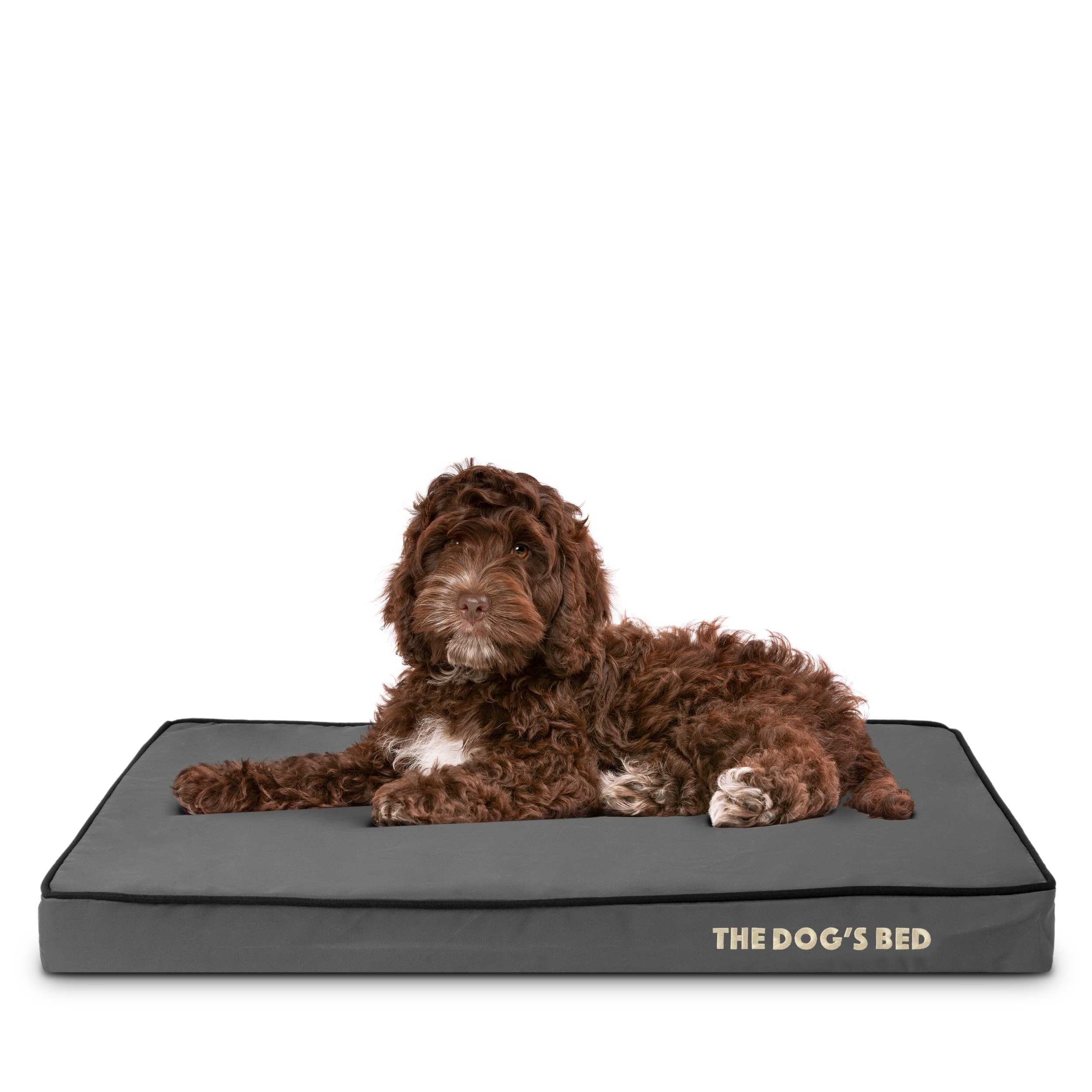 The Dog’s Bed Orthopedic Memory Foam Dog Bed, Medium Grey/Black 34x22, Pain Relief for Arthritis, Hip & Elbow Dysplasia, Post Surgery, Lameness, Supportive, Calming, Waterproof Washable Cover
