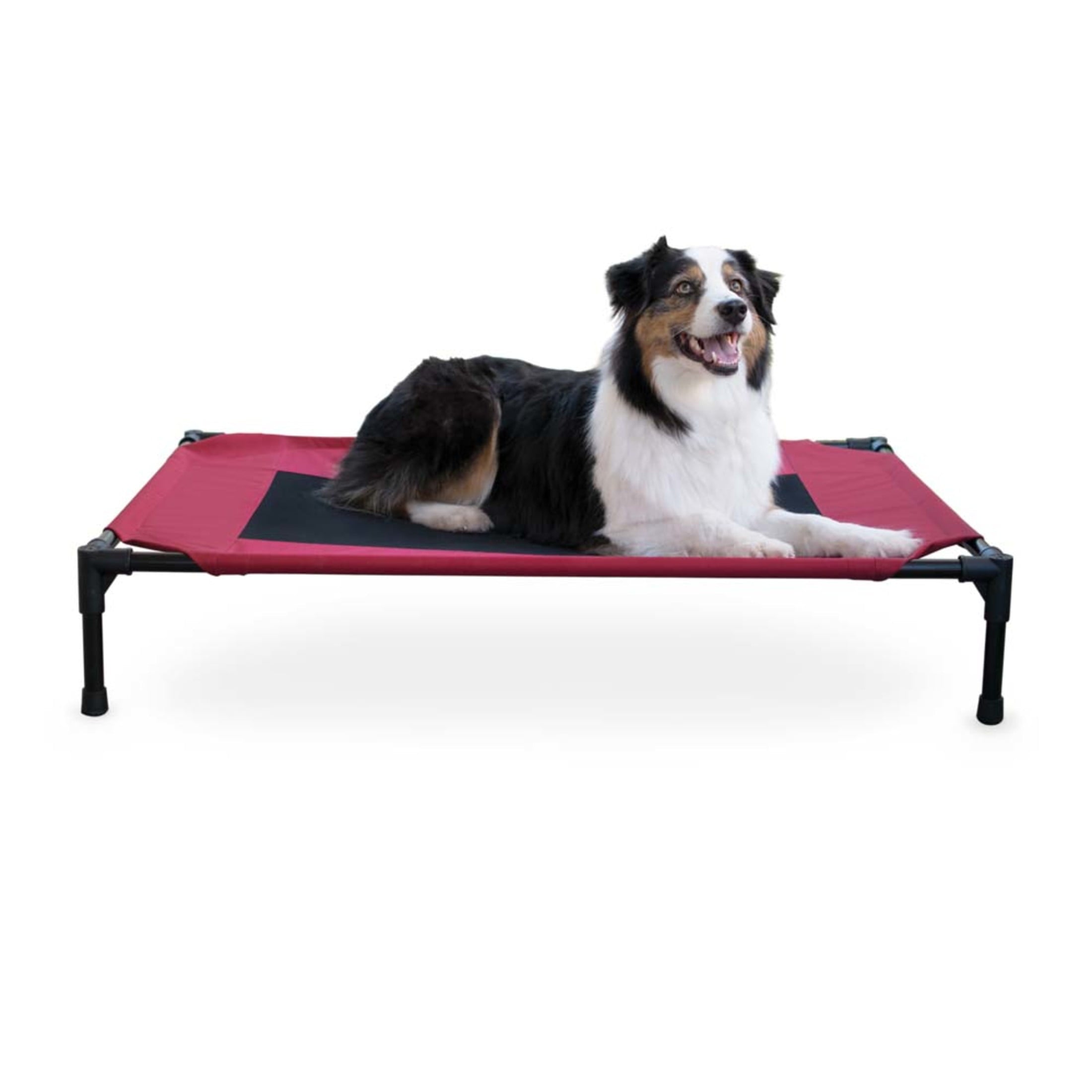 K&H Pet Products Original Pet Cot Elevated Dog Bed Taupe/Black Mesh X-Large 50 X 32 X 9 Inches