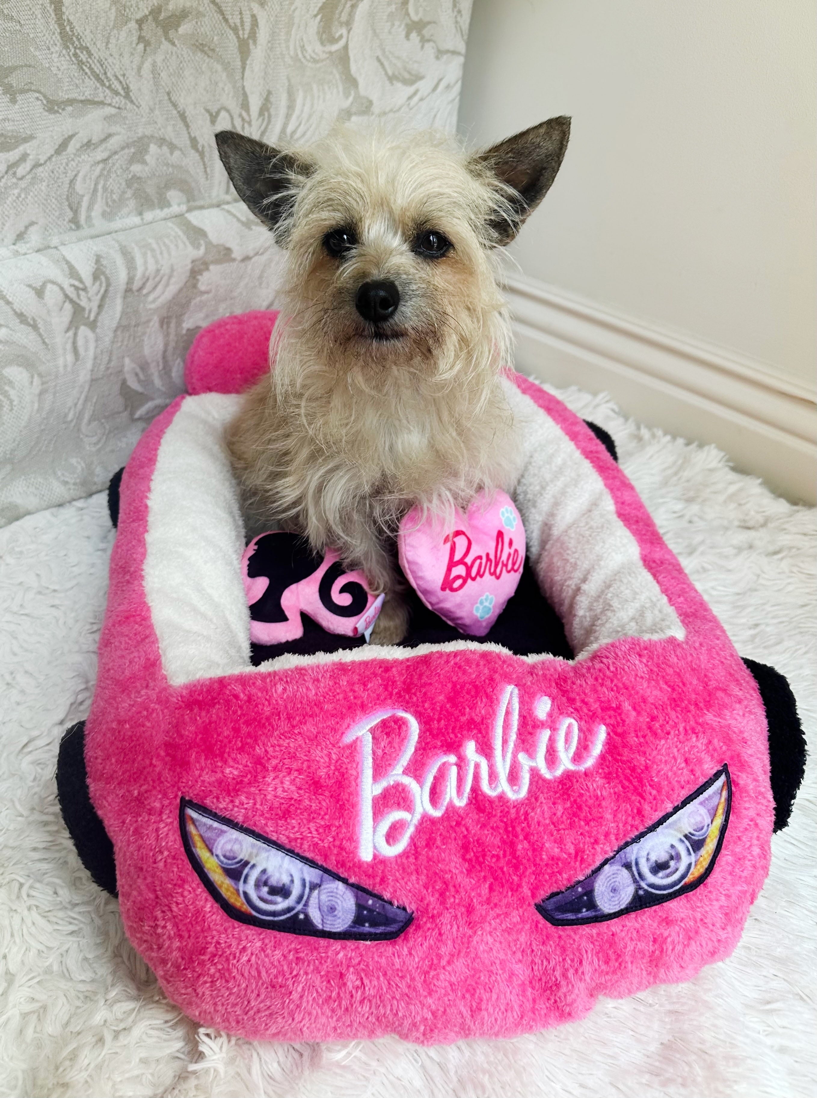 Megatoys Barbie Small Pet Bed, Plush Car Bed with 2 Crinkle Barbie-Themed Toys, Pink