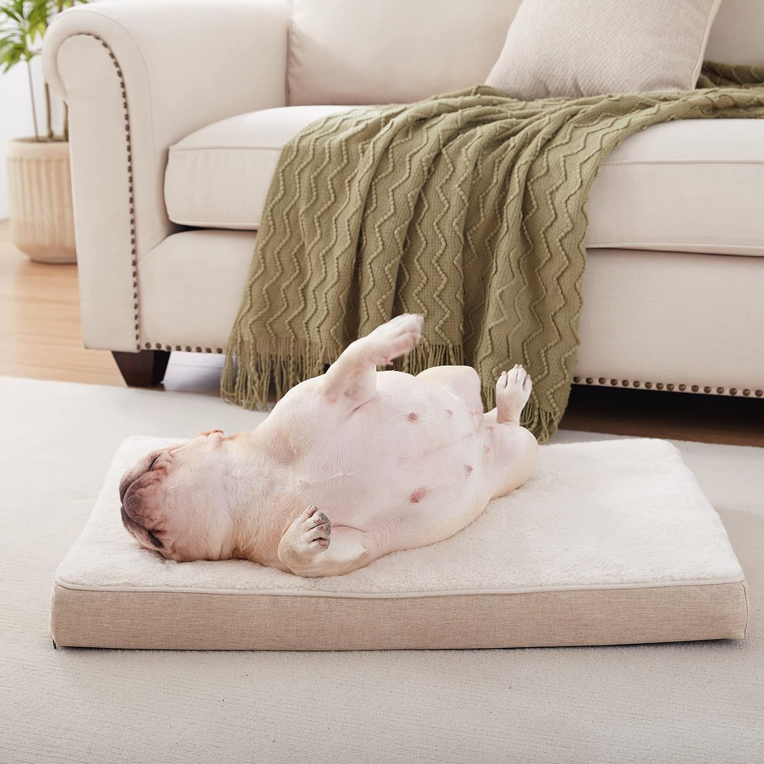 Orthopedic Memory Foam Dog Bed for Large Dogs, Cooling, XL Washable with Waterproof Liner and Gel Memory Foam, Fits up to 110 lbs Pets