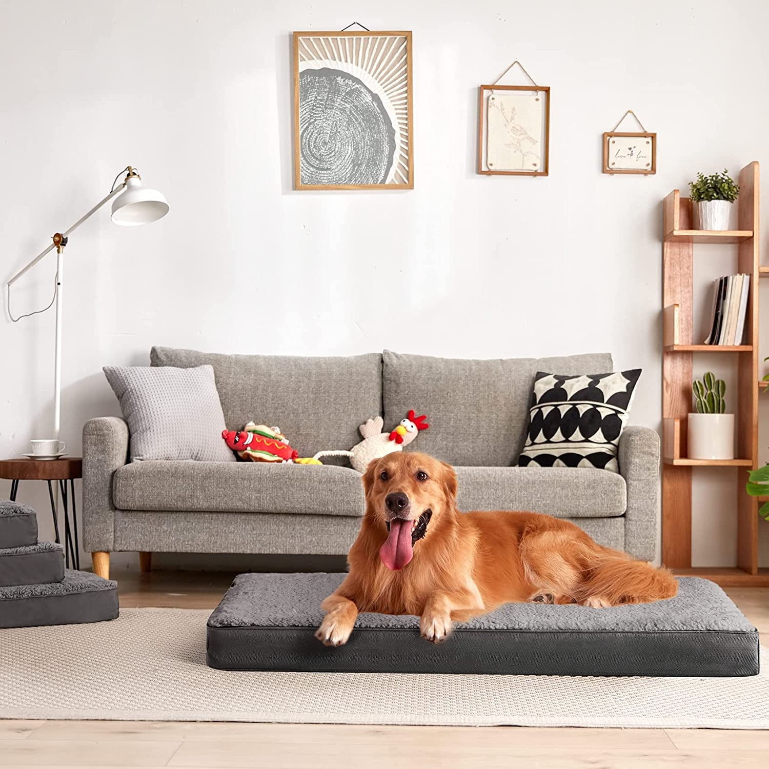 Large Dog Bed with Orthopedic Memory Foam Mattress Edition Pet Bed for Dogs & Cats, Jumbo, 40"x30", Up to 90lbs, Waterproof Liner & Washable Cover