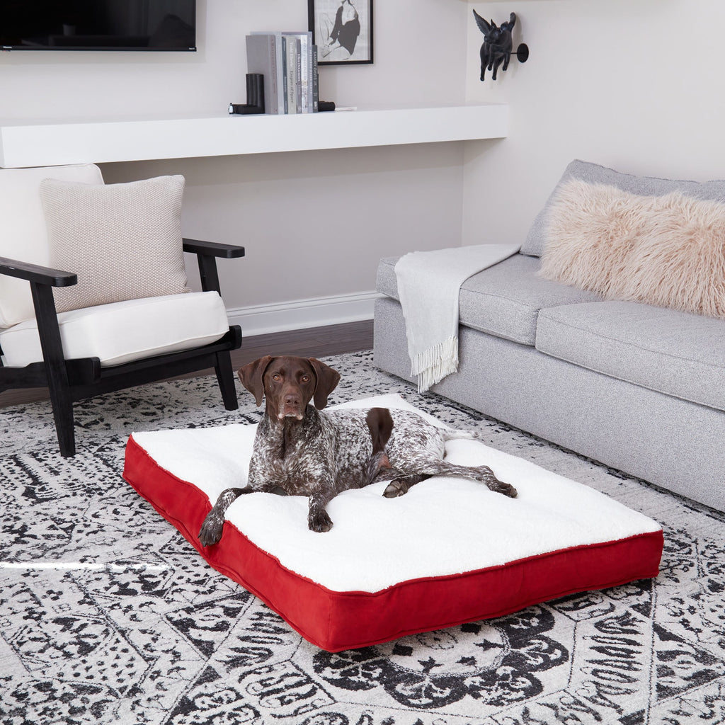 Happy Hounds Daisy Deluxe Sherpa Supportive Dog Bed, Crimson, Large (48 x 36 in.)