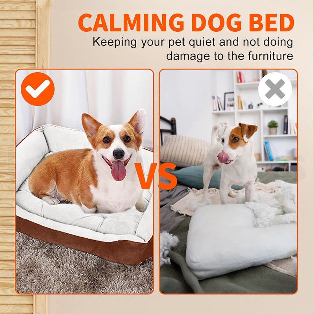 PayUSD Dog Beds for Small Dogs with Dog Blanket & Plush Bone Washable Calming Cat Bed Pet Bed