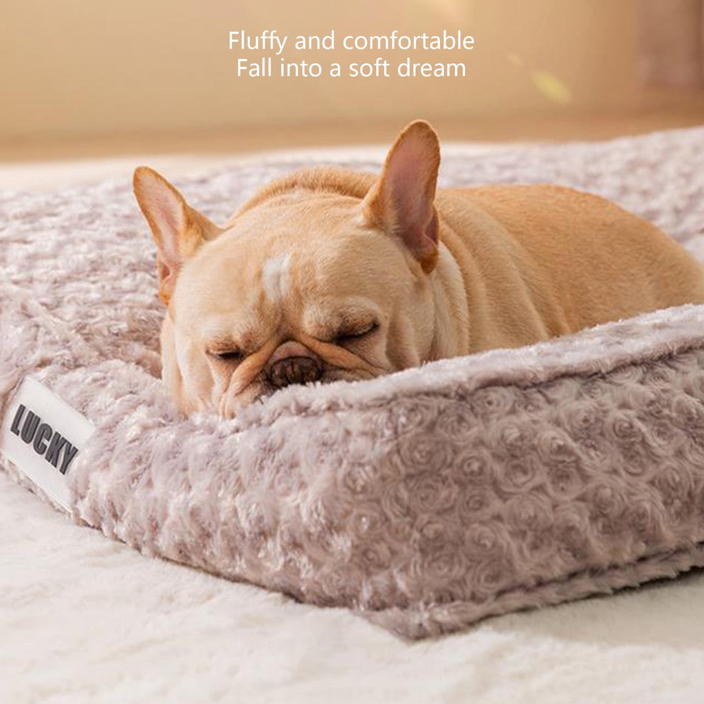 AZXY Dog Beds for Large Dogs,Cat Bed,Medium Dog Beds On Sale,Indestructible Washable Chew Proof Comfort Dog Bed Small Crate