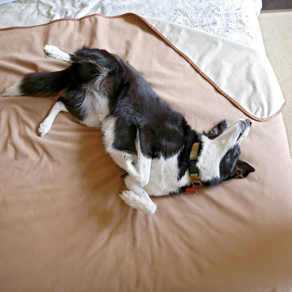 Catalonia Waterproof Throw Blankets for Beds, All Ages, People and Pets, Camel/Taupe, 60" x 80"