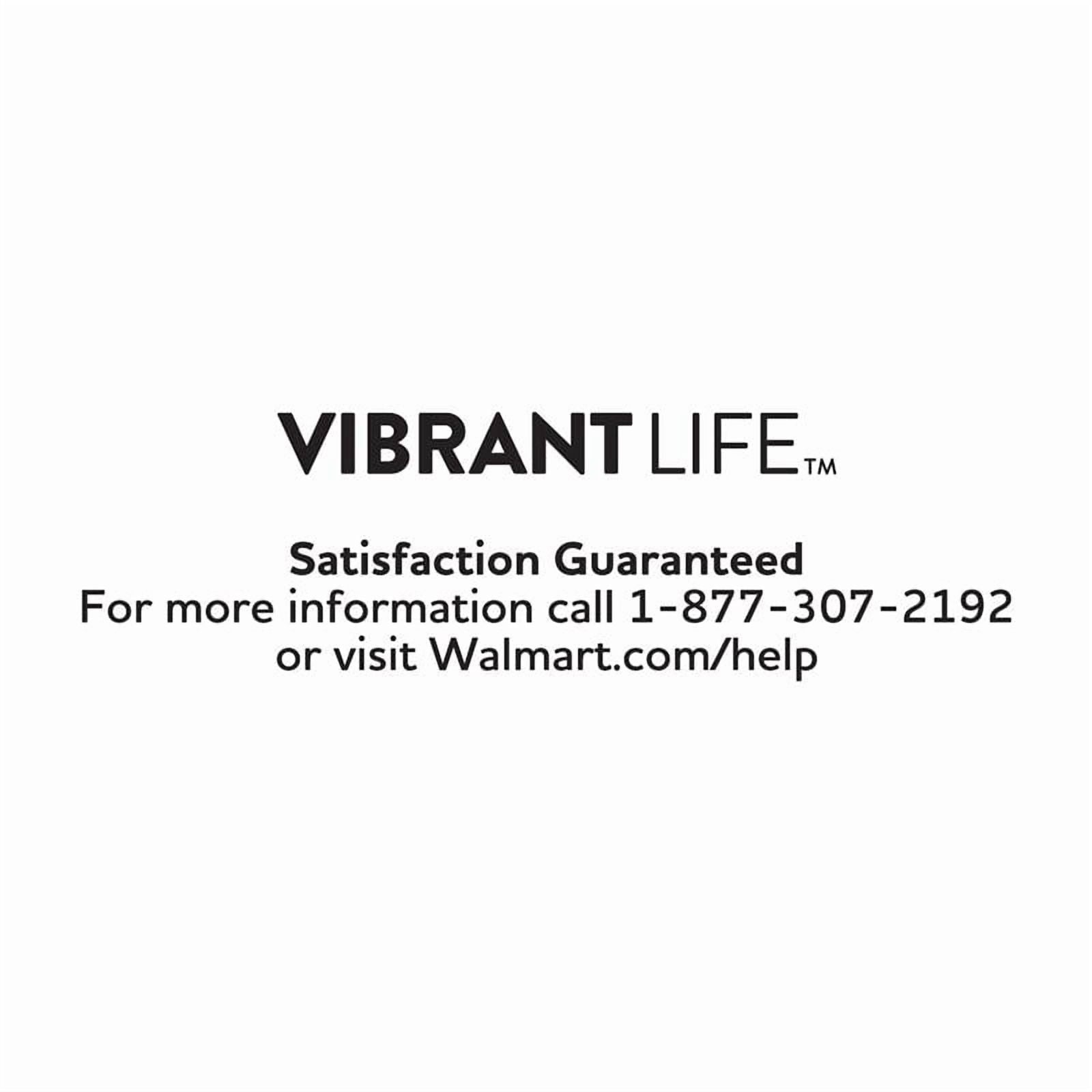 (2 pack) Vibrant Life Lounger Dog Bed, Black Geo, Large, 36" x 27"