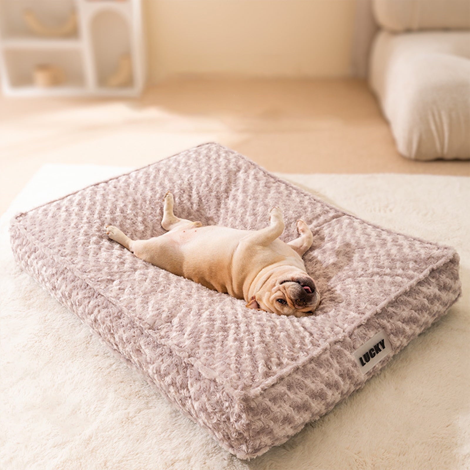 AZXY Dog Beds for Large Dogs,Cat Bed,Medium Dog Beds On Sale,Indestructible Washable Chew Proof Comfort Dog Bed Small Crate