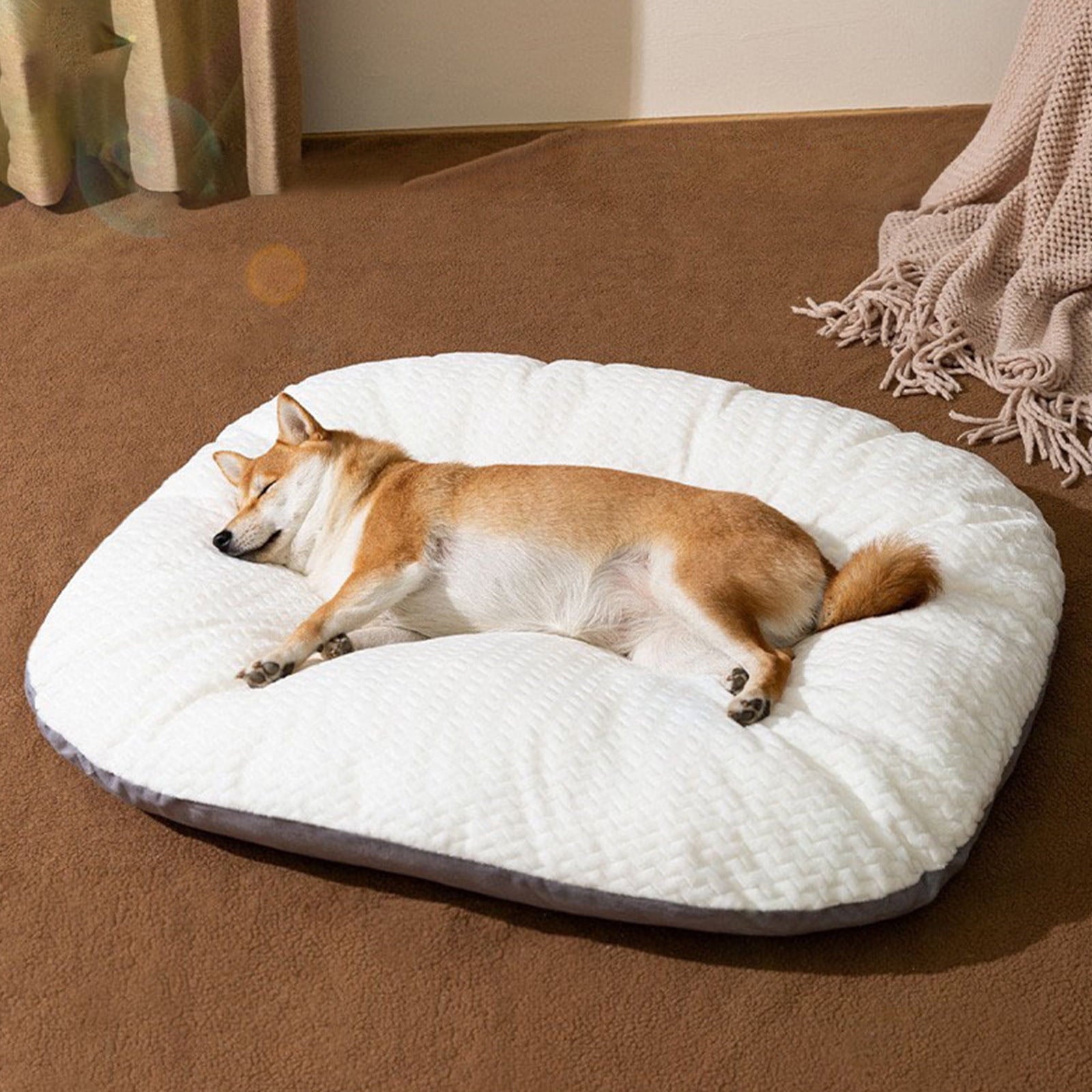 AZXY Dog Beds for Large Dogs,Cat Beds for Indoor Cats,Indestructible Washable Chew Proof Comfort Dog Bed Medium,Pet Bed On Clearance,Dog Mat
