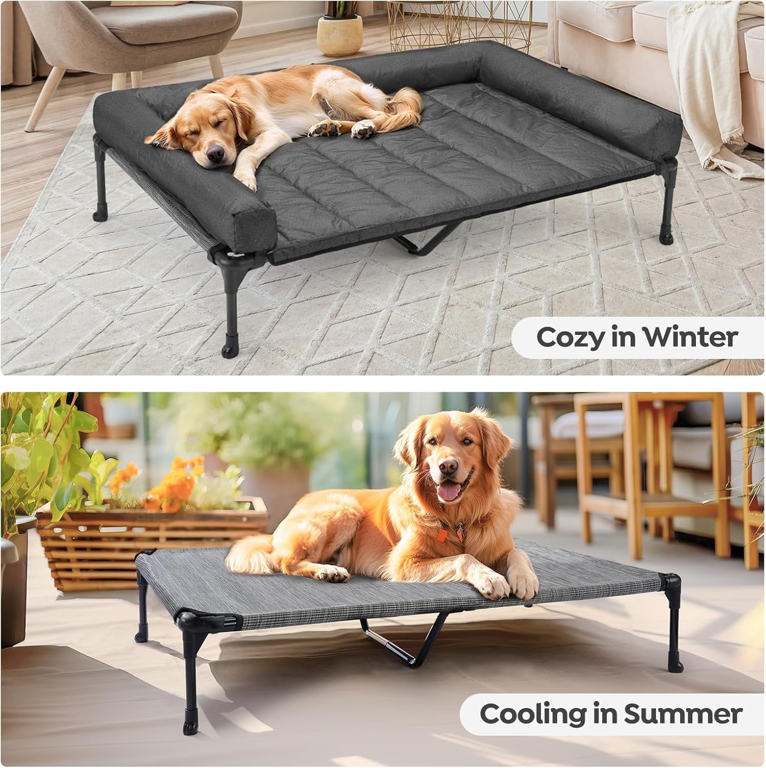 Elevated Dog Bed Add Removable Waterproof Bolster Cushion Mat, Raised Pet Cot with Breathable Teslin Mesh, No-Slip Feet, Dog Sofa Bed for Indoor Outdoor, XLarge, Black Silver