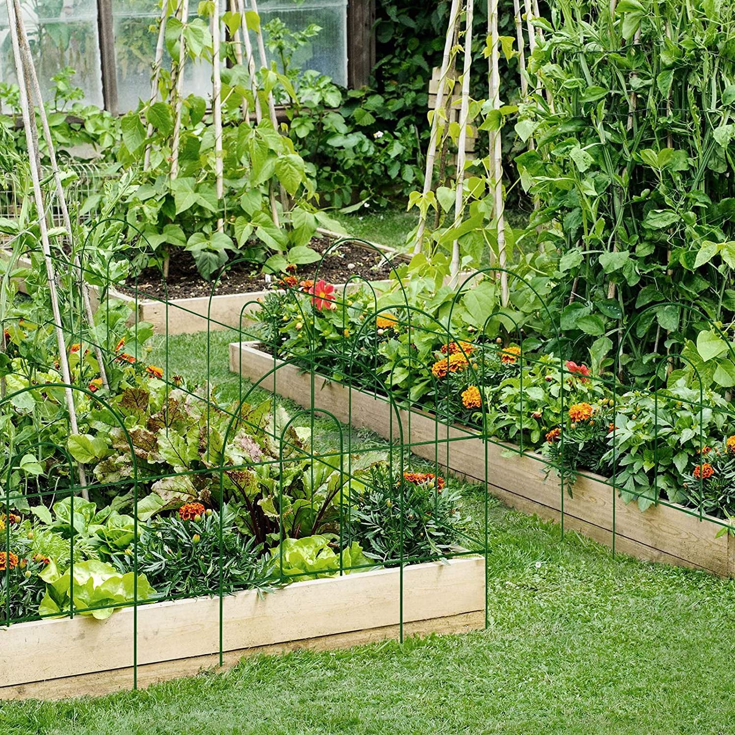 AMAGABELI Garden & Home Decorative Garden Fence Border 35panels 18inchl x 50ft Animal Barrier Fence Border Black Thicken Metal Wire Fencing Rustproof Landscape Patio Flower Bed Edge Section
