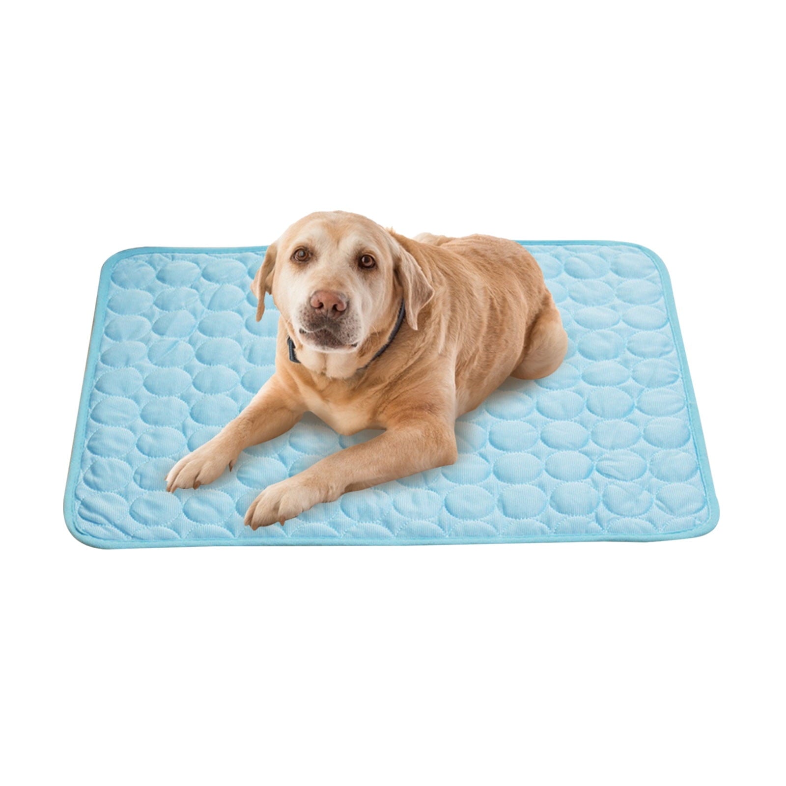 Cooling Pad for Dog, Summer Pet Ice Mat Dog Mat Ice Silk Mat Cool Mat Pet Supplies, Pet Dog Self Cooling Pad(C,Blue, 19.7x24.4in)